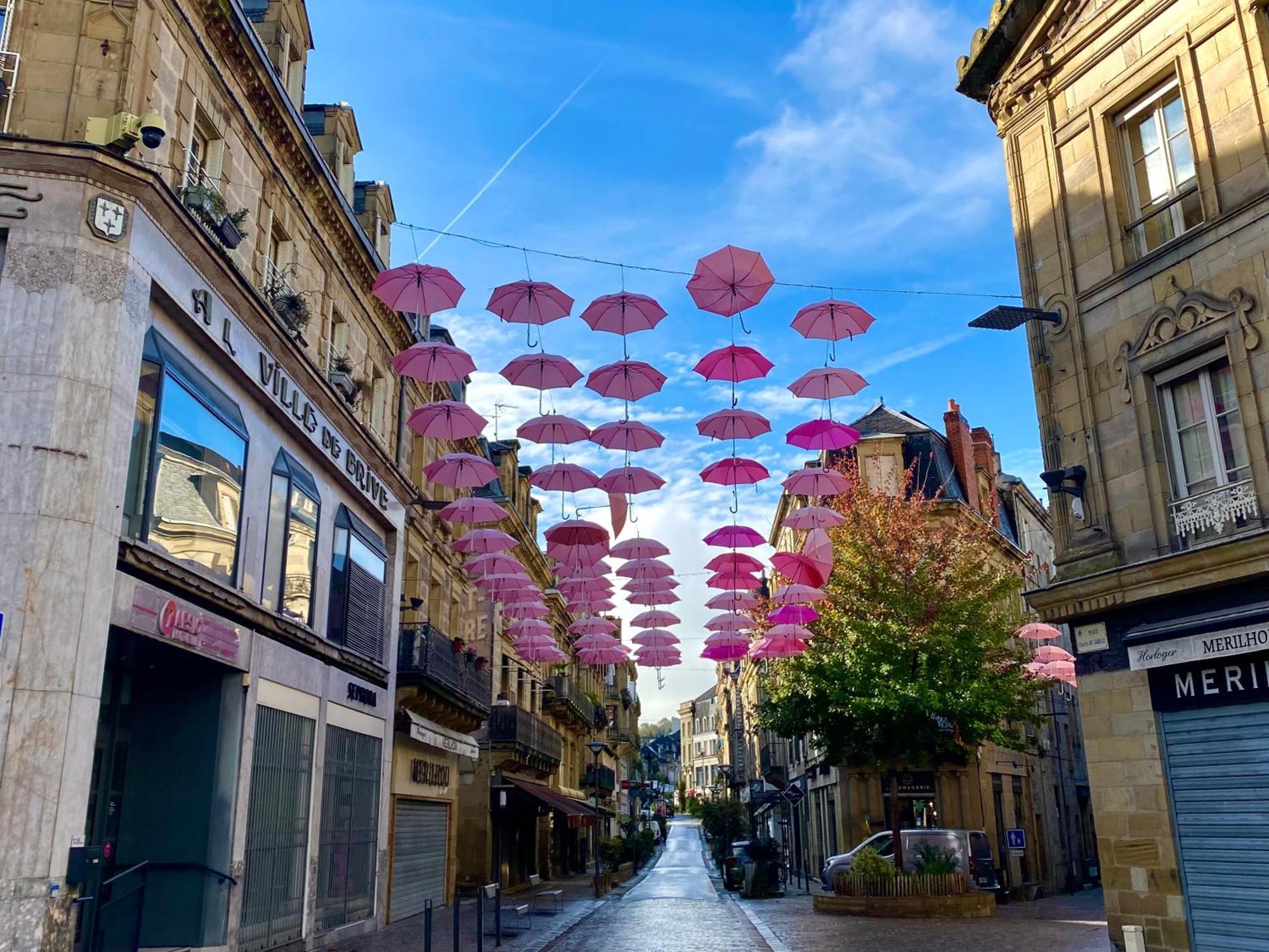 - Charmantes Terracotta Et Bali - Coup De Coeur - Hyper Centre Historique Apartment Brive-la-Gaillarde